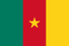 Flag of Cameroon