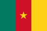Flag of Cameroon